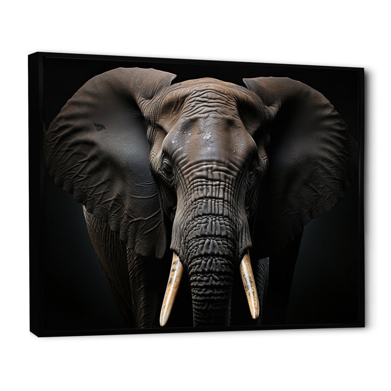 Éléphant Silent Majesty I - impression, Cadre flottant noir, H 16 po x l 32 po x P 1 po