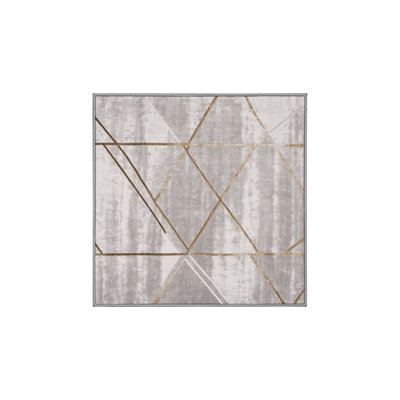 Machine Washable Gray Area Rug