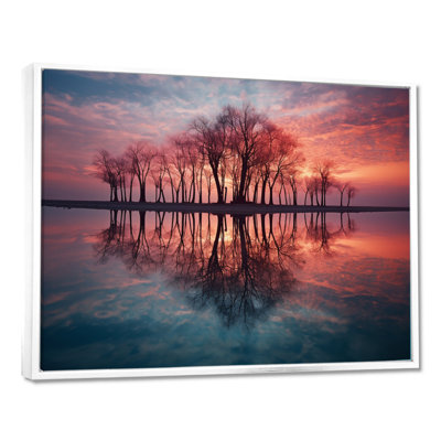 Arbre, silhouette, reflets, soirée, lac, coucher de soleil, art mural