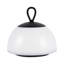 Lampe portable d'extérieur à DEL à intensité variable de 6 po Idra-296441054