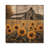 Sunflowers By The Old Wooden Barn II - Sunflowers Wood Print - On Natural Pine Wood-1654277625