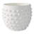 Planter Terracotta Raised Dot Texture For Home Or Garden Use - 6" White