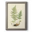 «Curtis Ferns II», cadre photo, impression sur toile-356155089
