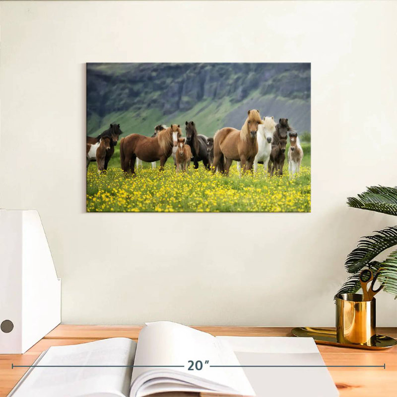 Icelandic Horses I, 8" H x 12" W