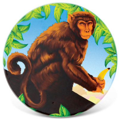 Monkey Coaster