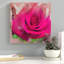 «Painted Petals XL», reproduction de photo sur toile tendue-28141320