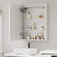 Mirrored Bathroom Cabinets with Mirror