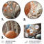 Microcosmos Geography - Abstract Landscape, art mural-2066380938-2066380943