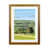 Brown Framed is unavailable