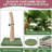 40-Inch Tall Cat Scratching Post With Interactive Balls & Leafy Design, Natural Sisal Cat Scratcher For Claw Health, Stylish Cat Tree For Active Play, Multi-Combinable Fun For Kittens & Adult Cats