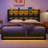 Jilissa Upholstered Bookcase Lift Up Storage Bed with Charging Station and RGB LED Lights-688655813-688655812