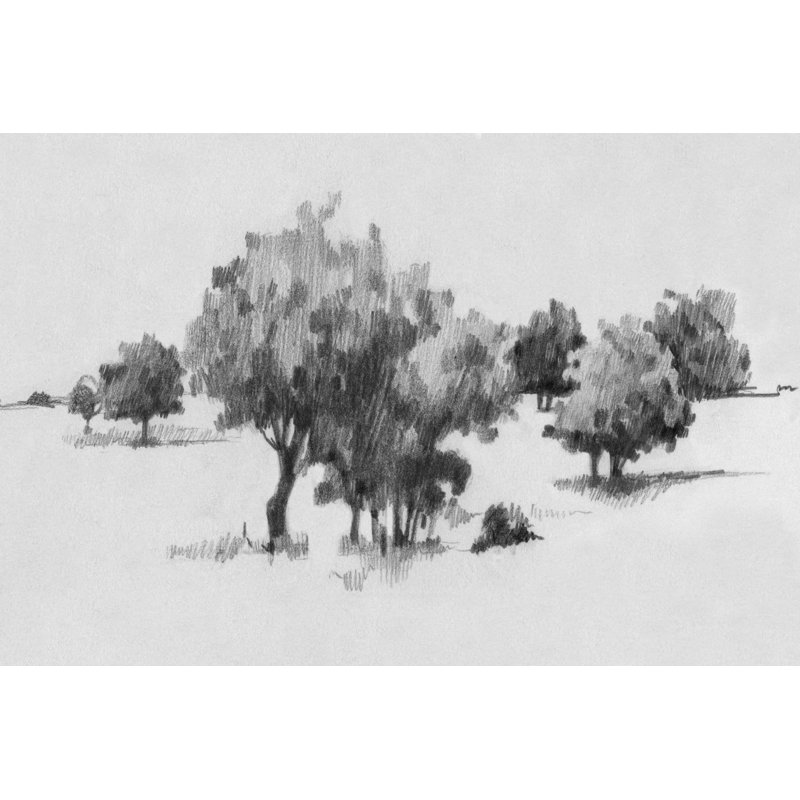 Treeline Sketch II by Emma Caroline - Drawing Print, Wrapped Canvas, 20cm H x 30cm W