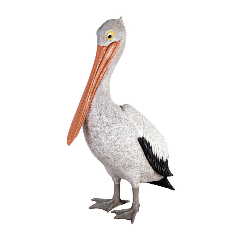 Pelican debout Juli