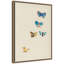 "Cinq papillons 1912 Odilion Redon" par Nostalgia Prints, reproduction d'art sur toile encadrée-1432367380