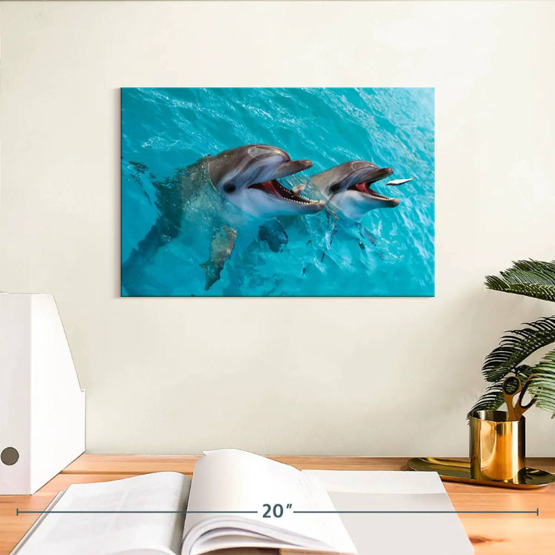 Brampt Cute Dolphins, 8" H x 12" W