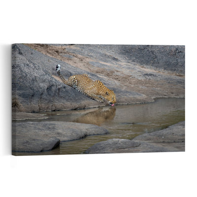 Leopard Drinking Water Abstract Contemporary Cat Animal Nature Wall Art Print