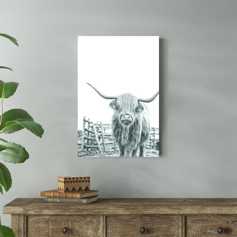 Noir et blanc Highland Cow - impression, H 30 po x l 20 po