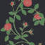 Elva Rose-1152653716-1152653722