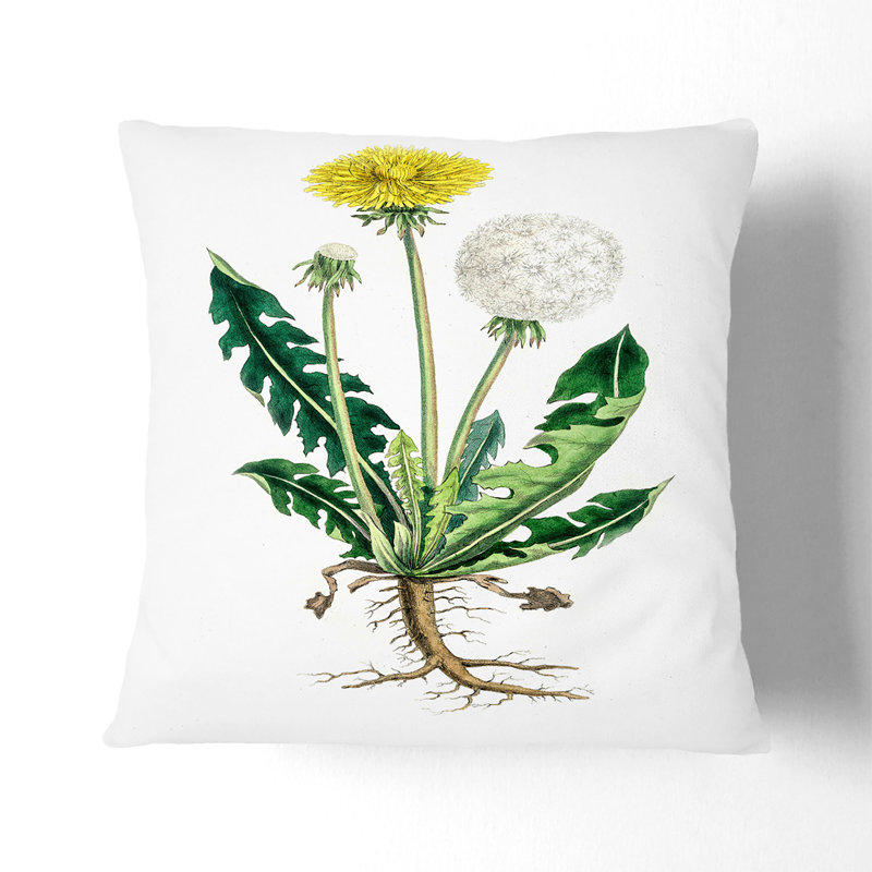 Dandelion Flowers Illustration Square Throw Cushion, 40cm H x 40cm W x 15cm D, Black