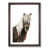 Walnut Framed selected
