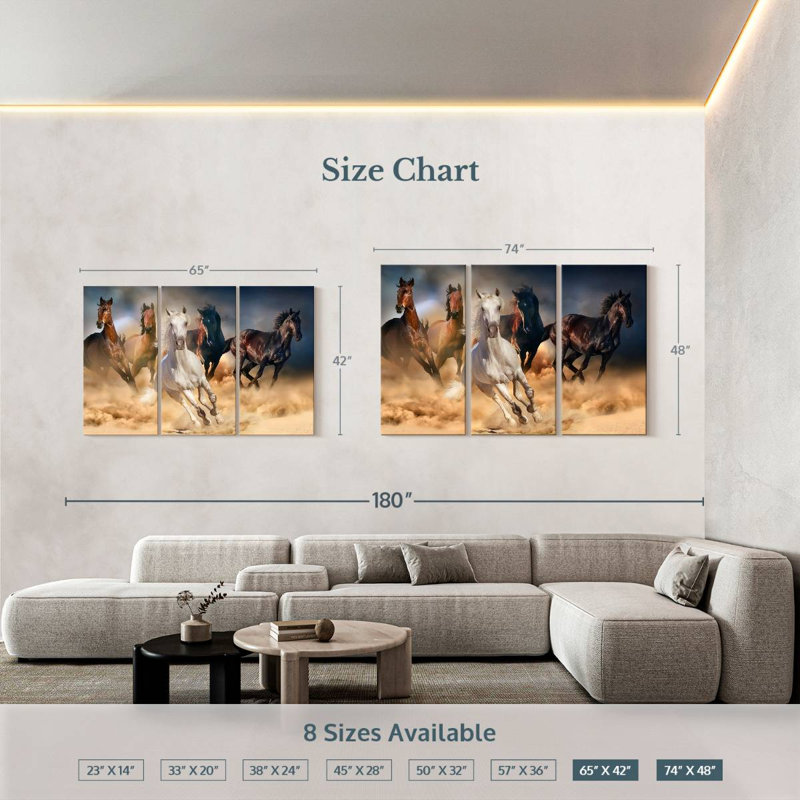 Brampt Sprint, chevaux arabes, H 42 po x l 65 po