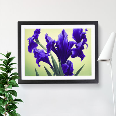 Evolving Iris Flowers - Framed Print