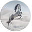 Photographie d'un cheval blanc au galop-35105335-35105341