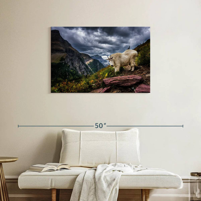 Brampt Rocky Mountain Goat, 24" H x 36" W