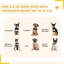 Pet Pen Guinea Dog Pig Puppy Playpen Play House Steel Hutch Metal Grey