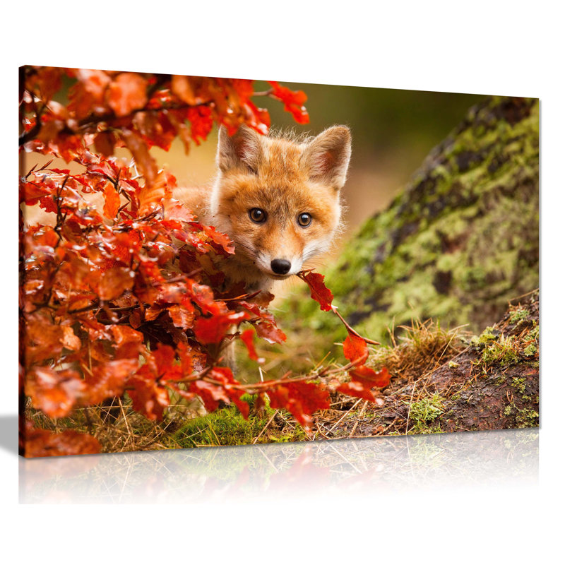 Fuchs Im Herbst by Not An Artist - Wrapped Canvas Print, 41cm H x 61cm W, Canvas