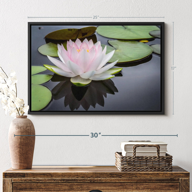 Floral et botanique «Lotus rose blanc», H 17 po x l 25 po