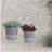 S/2 10/12" DIAMOND PLANTER W/ WOOD LEGS, GRAY (KD)