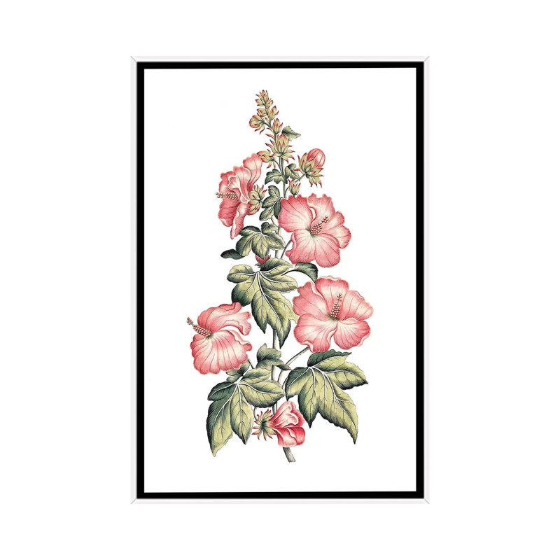 «Flowering Hibiscus II» par un artiste inconnu - reproduction, Aucun mat, H 26 po x l 18 po x 1,5 po, Toile blanche encadrée