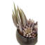 25cm Faux Succulent in Ceramic Pot