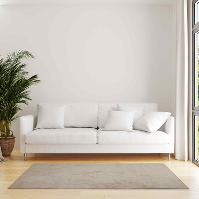 Adulfo Unicoloured Area Rug