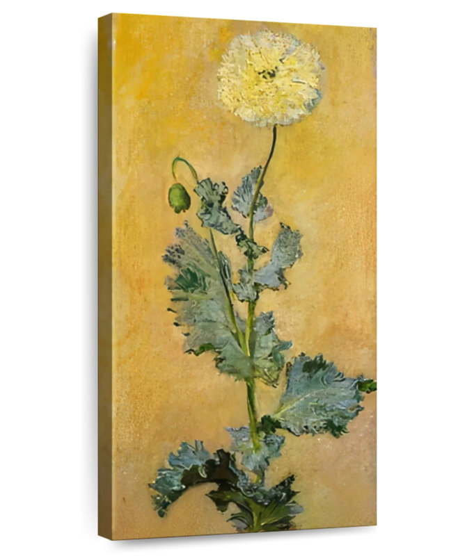 Coquelicot blanc, 30" H x 15" W