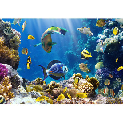 Photo d'une peinture murale d'un poisson tropical sur un récif de corail