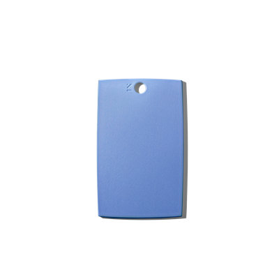 The (mini) reBoard® Recycled Cutting Board