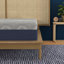 Matelas hybride en mousse à mémoire de forme isotonique 10 po Symbole, simple TG-370333712-370333716