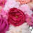 Dahlia Wall Panel Arrangement