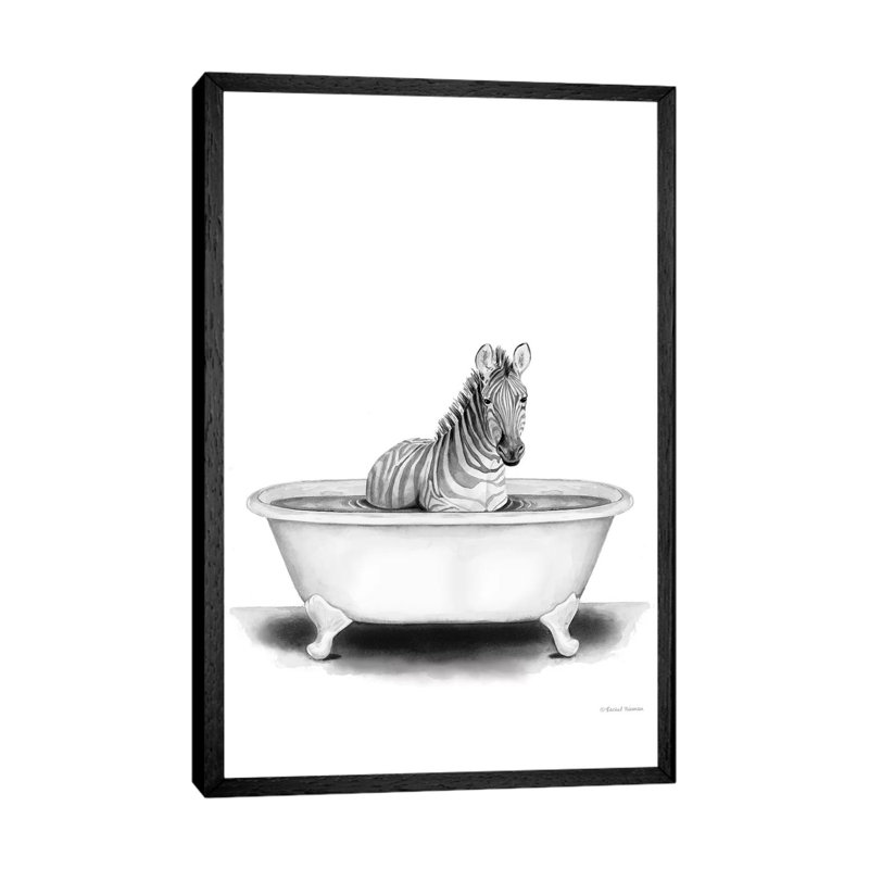 Zebra In Tub by Rachel Nieman - Print on Canvas, Black Framed, 101.6cm H x 66.04cm W x 3.81cm D