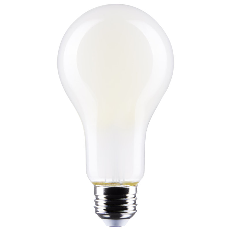 A21 18,5 watts 18,5 watts à culot moyen à culot moyen 5000K 120 volts, 5 000 K