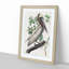 Brown Pelican by John Audubon - Picture Frame Graphic Art Print-55513118-55513115