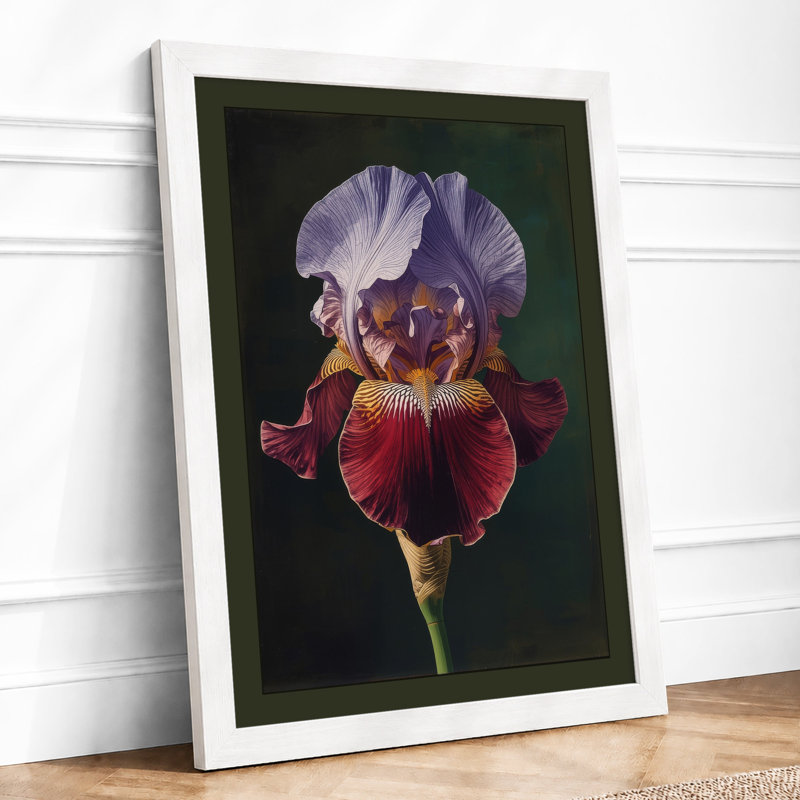 Bearded Iris Study Botanical - Framed Print, A4 - 29.7 x 21.0 cm, White