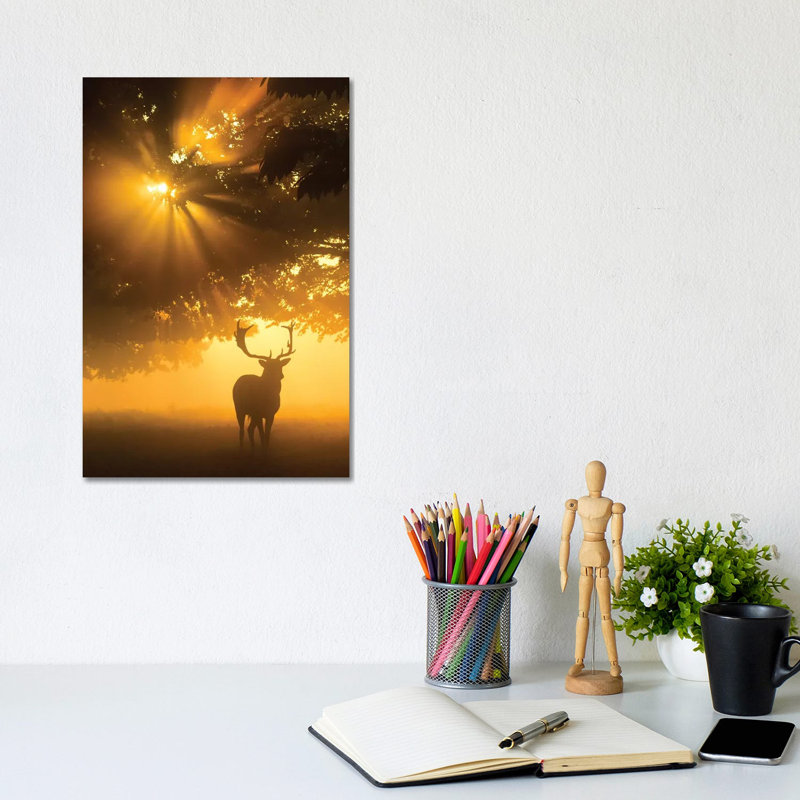 Mist On Tree Can't Stop Sunshine by Kutub Uddin - Print on Canvas, 30.48cm H x 20.32cm W x 1.91cm D, Wrapped Canvas