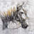 " Horse "-1147812879