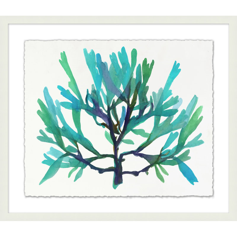 Transparaent Sea Life 4 Print