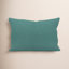 Amala 20" x 3" Sunbrella® Throw Pillow