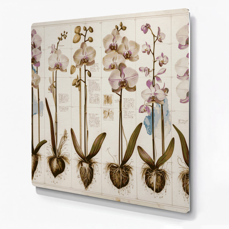 Art botanique beige, botanique, H 96 po x l 96 po x P 0,05 po