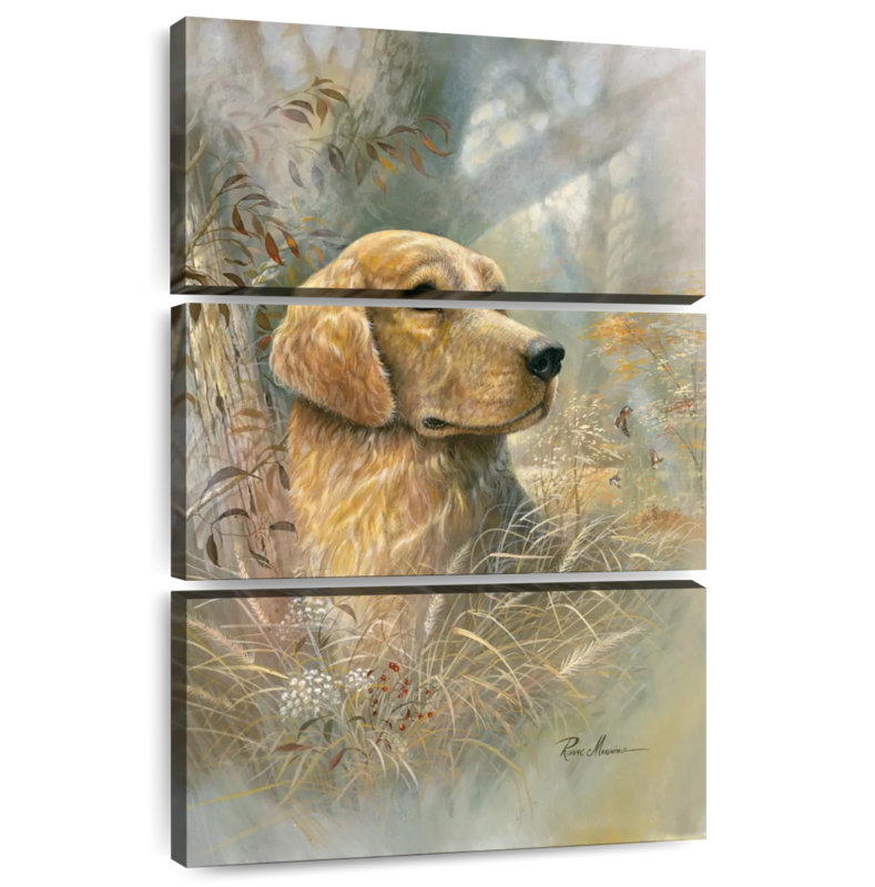 Brampt Dog Golden Beauty